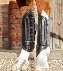 Carbon Tech Air Flex Eventing Boots 18 Carbon Tech Air Flex Eventing Boots -Premier Equine Store carbon tech air flex eventing boots 1034hsblk 750470