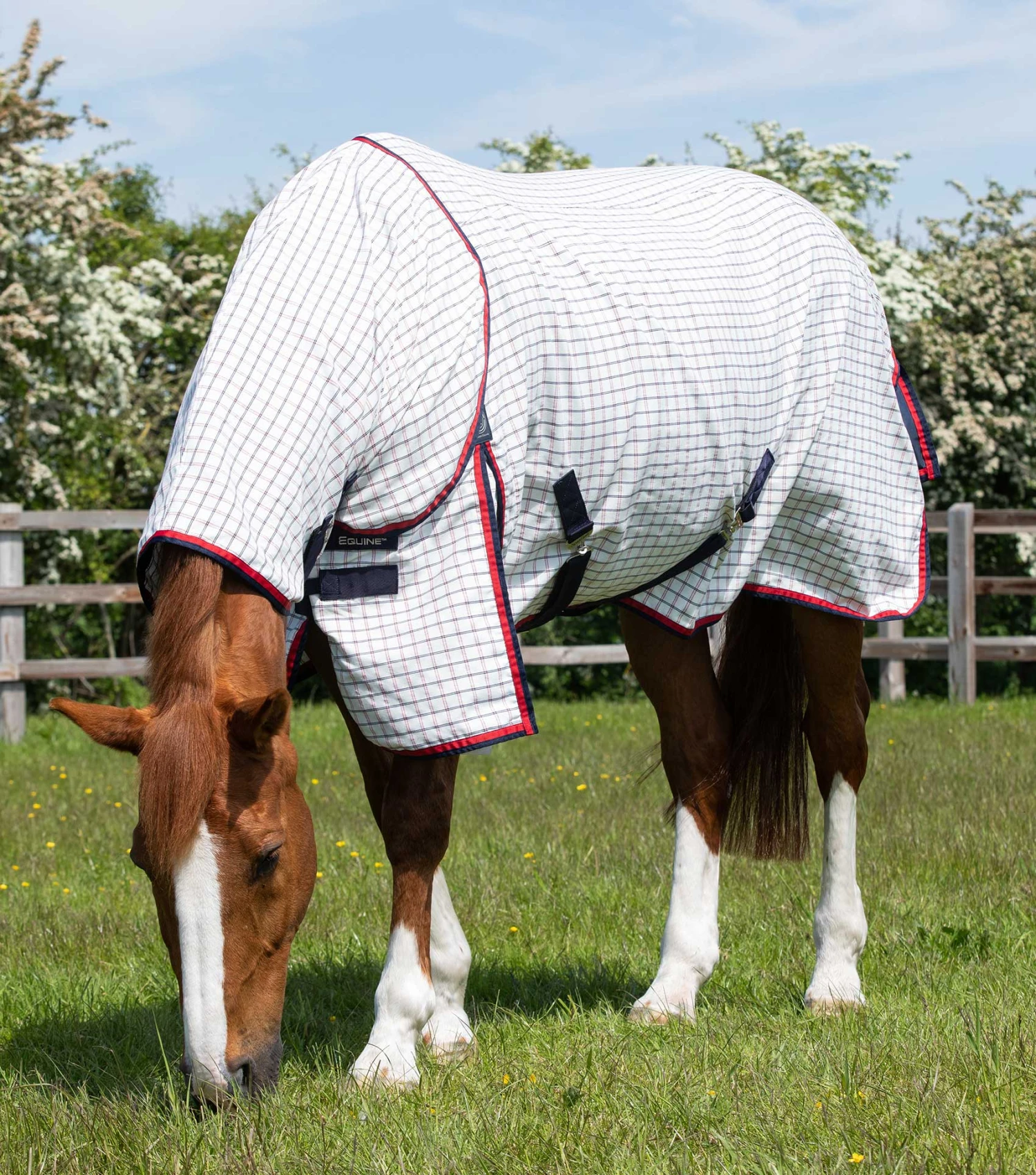 Combo Cotton Sheet Combo Cotton Sheet -Premier Equine Store combo cotton sheet 202350rchk 433710