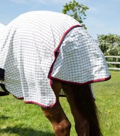 Combo Cotton Sheet 6 Combo Cotton Sheet -Premier Equine Store combo cotton sheet 202350rchk 955014