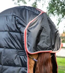 Combo Stable Rug 400g 11 Combo Stable Rug 400g -Premier Equine Store combo stable rug 400g 206656b 687441