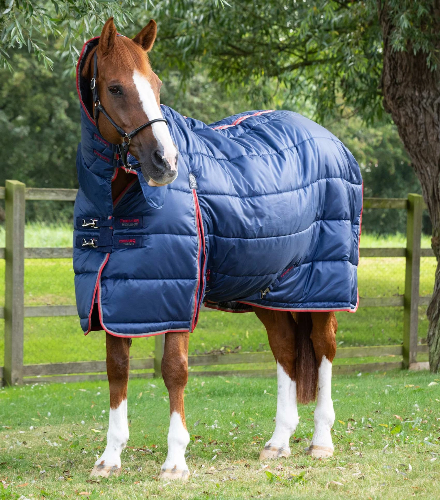 Combo Stable Rug 400g Combo Stable Rug 400g -Premier Equine Store combo stable rug 400g 206656n 400427