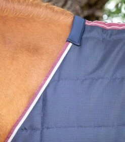 Garissa Stable Rug 100g -Premier Equine Store garissa stable rug 100g 201750n 792235