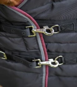 Garissa Stable Rug 200g 9 Garissa Stable Rug 200g -Premier Equine Store garissa stable rug 200g 201850blk 518480