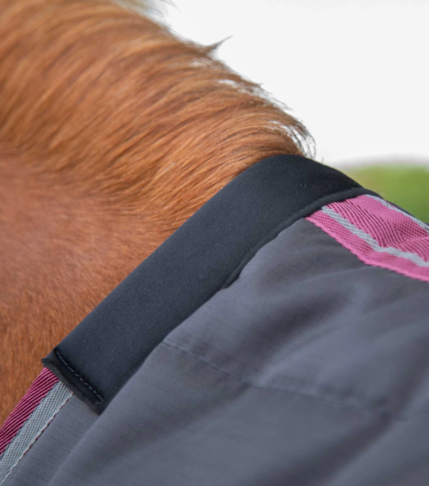 Garissa Stable Rug 200g Garissa Stable Rug 200g -Premier Equine Store garissa stable rug 200g 201850blk 842556