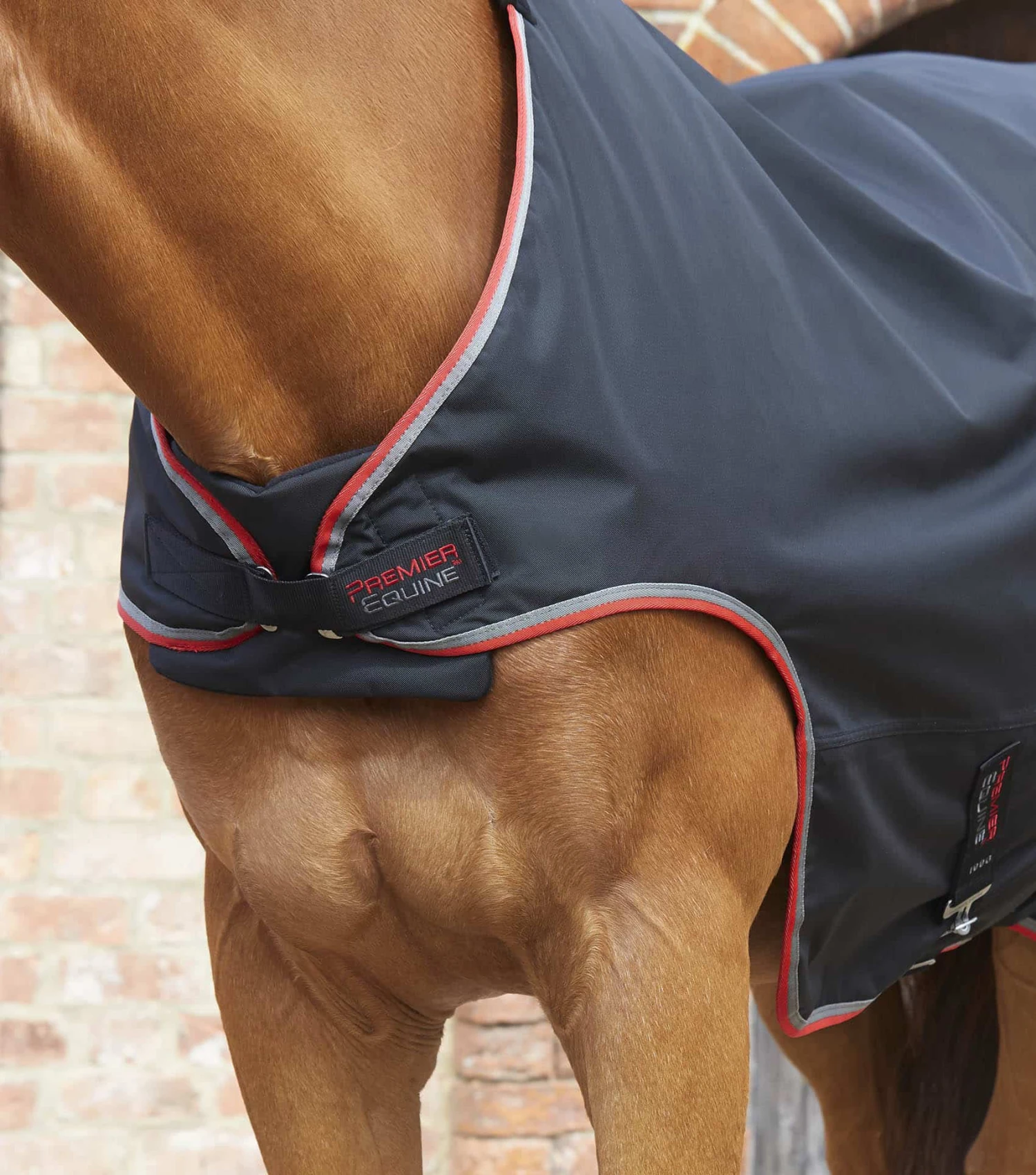 Horse Walker Rug 100g Horse Walker Rug 100g -Premier Equine Store horse walker rug 100g 222956b 231684