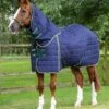 Lucanta 450g Stable Rug With Neck Cover