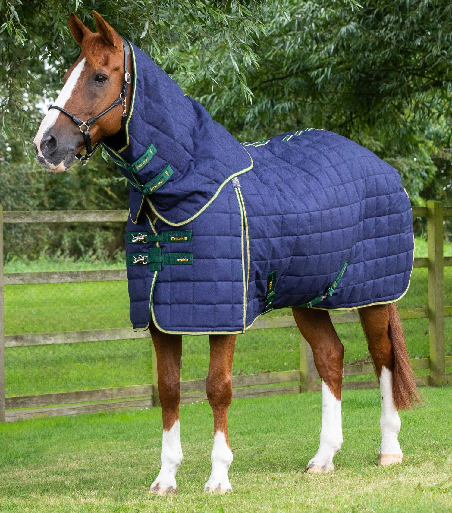 Lucanta 450g Stable Rug with Neck Cover Lucanta 450g Stable Rug With Neck Cover -Premier Equine Store lucanta 450g stable rug with neck cover 214056n 320193