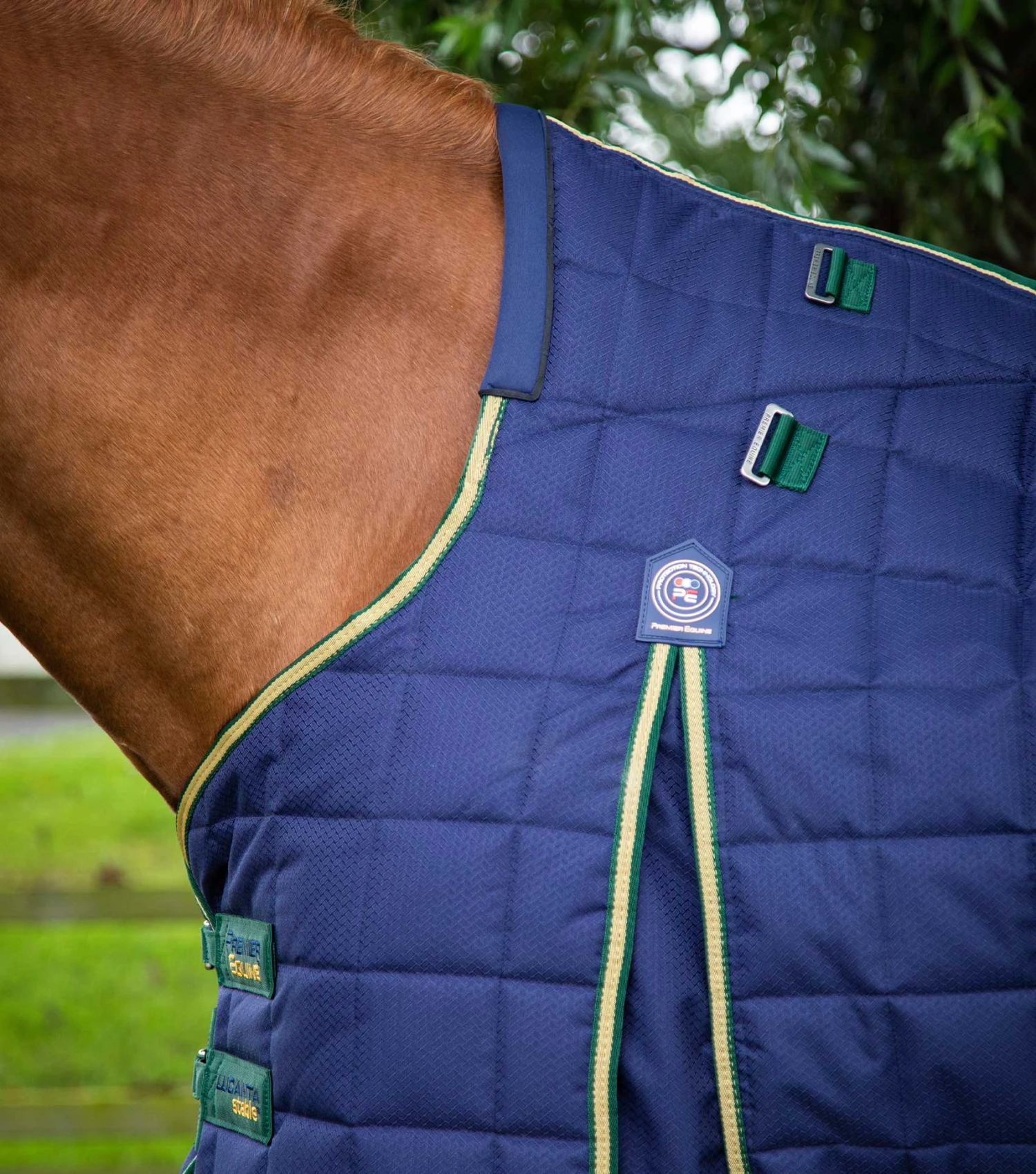 Lucanta 450g Stable Rug with Neck Cover Lucanta 450g Stable Rug With Neck Cover -Premier Equine Store lucanta 450g stable rug with neck cover 214056n 932052