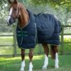 Lucanta Demi Stable 450g 1 Lucanta Demi Stable 450g -Premier Equine Store lucanta demi stable rug 450g black 1 07453b9b a8ec 49f5 a5b7 a59a6d2fb83c