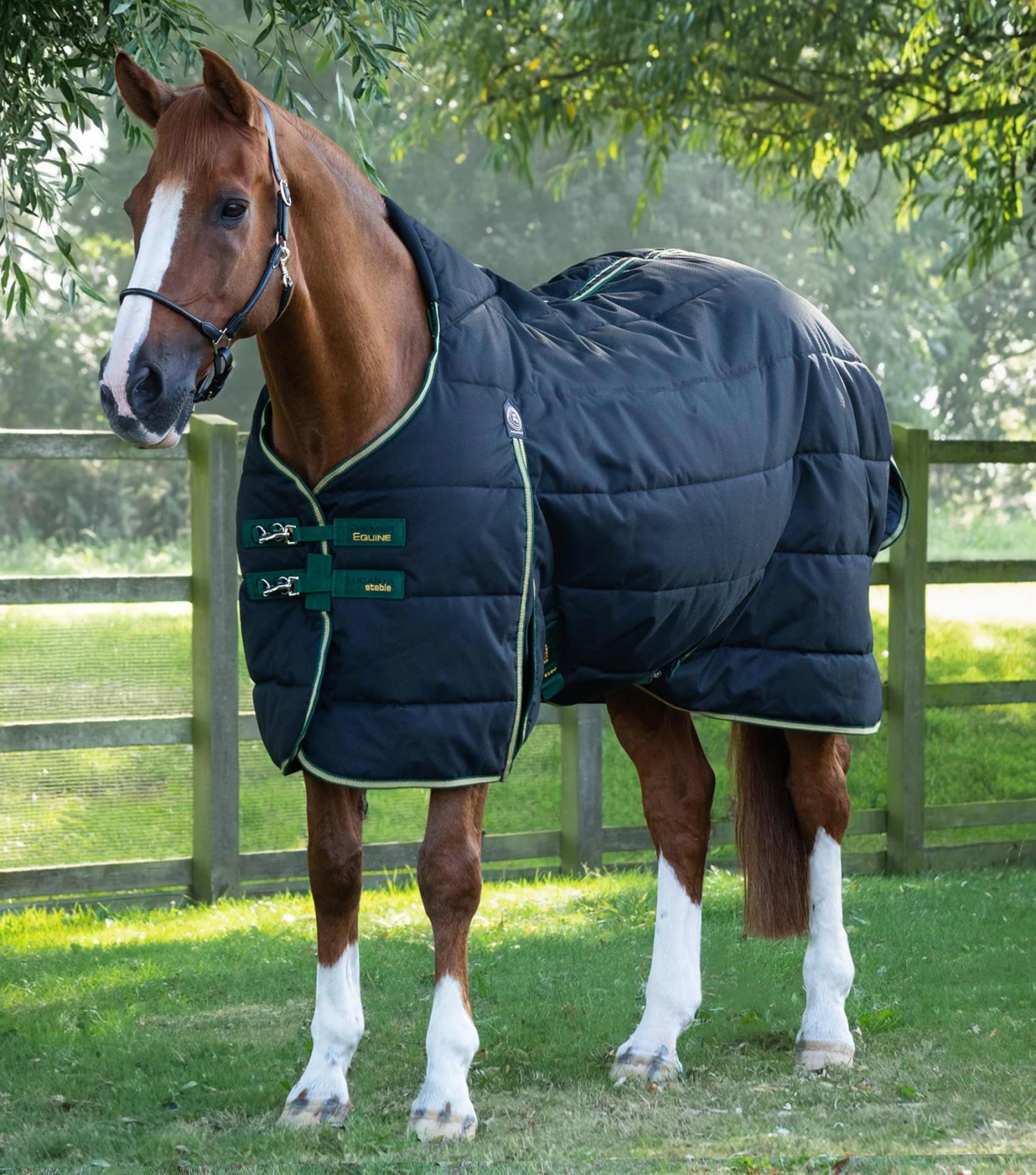 Lucanta Demi Stable 450g Lucanta Demi Stable 450g -Premier Equine Store lucanta demi stable rug 450g black 1 07453b9b a8ec 49f5 a5b7 a59a6d2fb83c