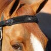Magni-Teque Magnetic Browband -Premier Equine Store magni teque magnetic browband 6000 639462