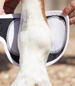 Magni-Teque Magnetic Fetlock Boots -Premier Equine Store magni teque magnetic fetlock boots 1013 979245