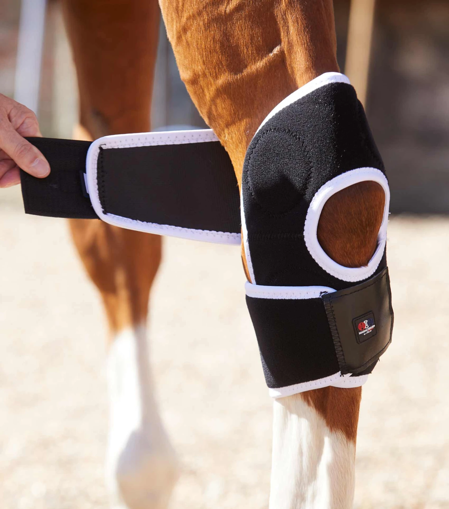 Magni-Teque Magnetic Hock Boots Magni-Teque Magnetic Hock Boots -Premier Equine Store magni teque magnetic hock boots 1016 145042