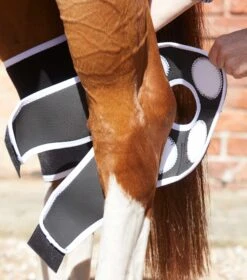 Magni-Teque Magnetic Hock Boots 4 Magni-Teque Magnetic Hock Boots -Premier Equine Store magni teque magnetic hock boots 1016 200024