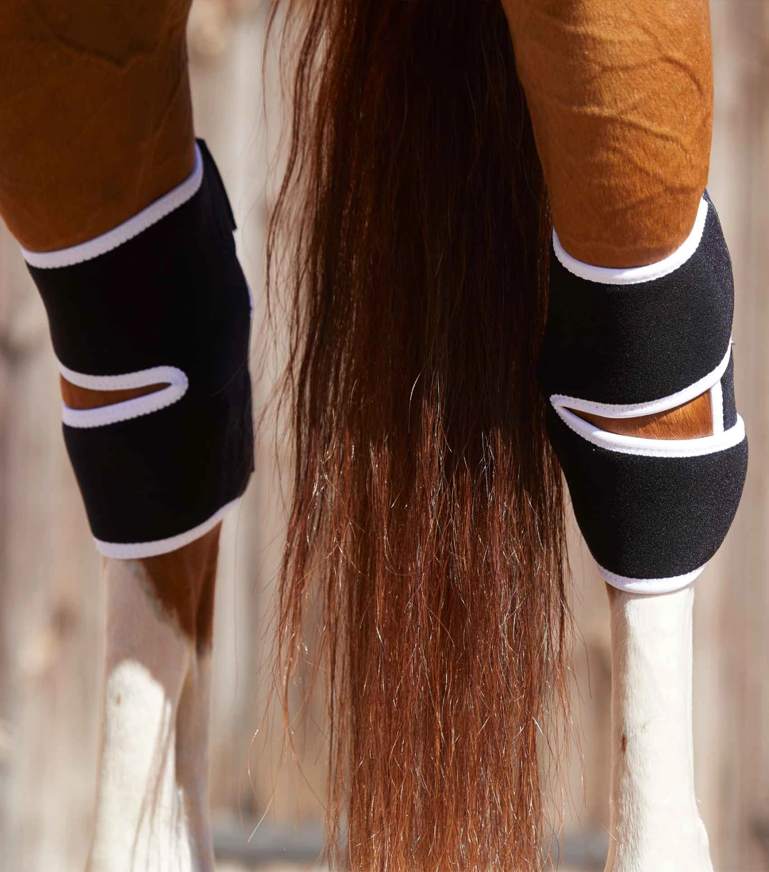 Magni-Teque Magnetic Hock Boots Magni-Teque Magnetic Hock Boots -Premier Equine Store magni teque magnetic hock boots 1016 680123