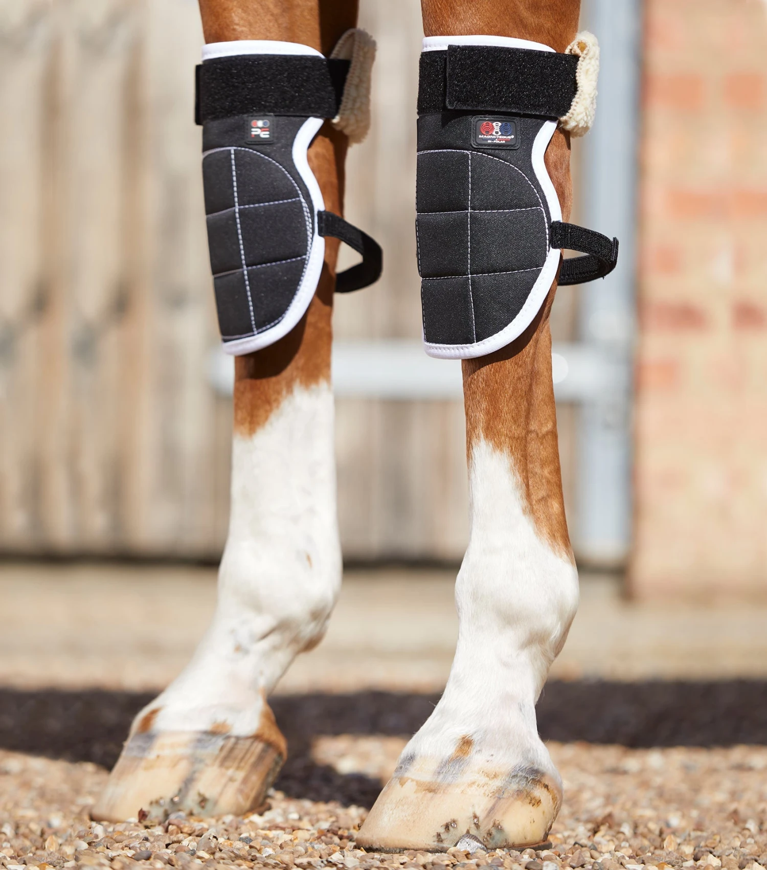Magni-Teque Magnetic Horse Knee Boots Magni-Teque Magnetic Horse Knee Boots -Premier Equine Store magni teque magnetic horse knee boots 1014 258213