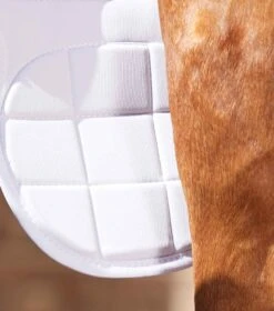 Magni-Teque Magnetic Horse Knee Boots 7 Magni-Teque Magnetic Horse Knee Boots -Premier Equine Store magni teque magnetic horse knee boots 1014 756360