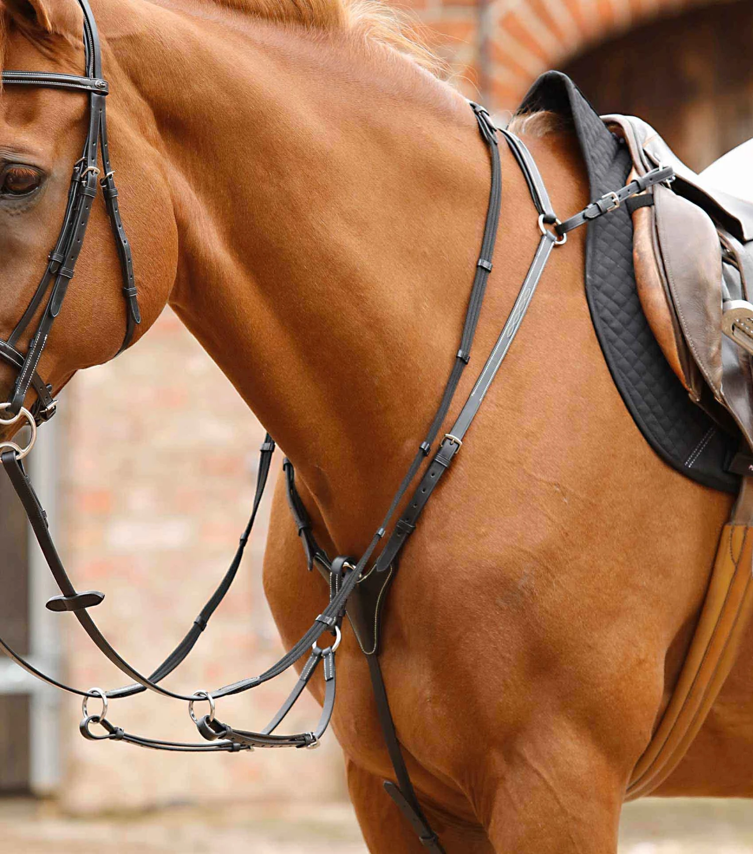 Norbello Hunter Breastplate Norbello Hunter Breastplate -Premier Equine Store norbello hunter breastplate 8033 cblk 945617