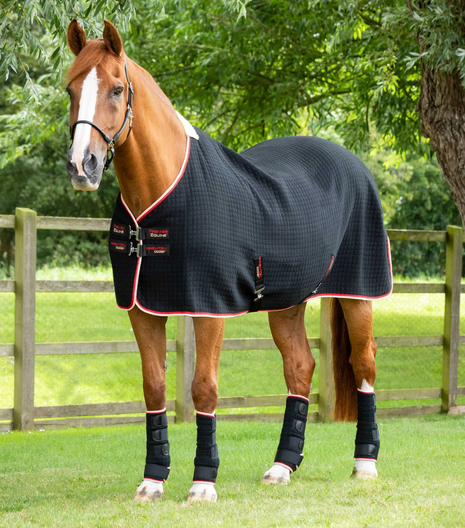 PremTex Horse Cooler Rug PremTex Horse Cooler Rug -Premier Equine Store premtex horse cooler rug 209456blk 736817