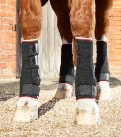 Quick Dry Horse Leg Wraps 5 Quick Dry Horse Leg Wraps -Premier Equine Store quick dry horse leg wraps 1002 sblk 495410
