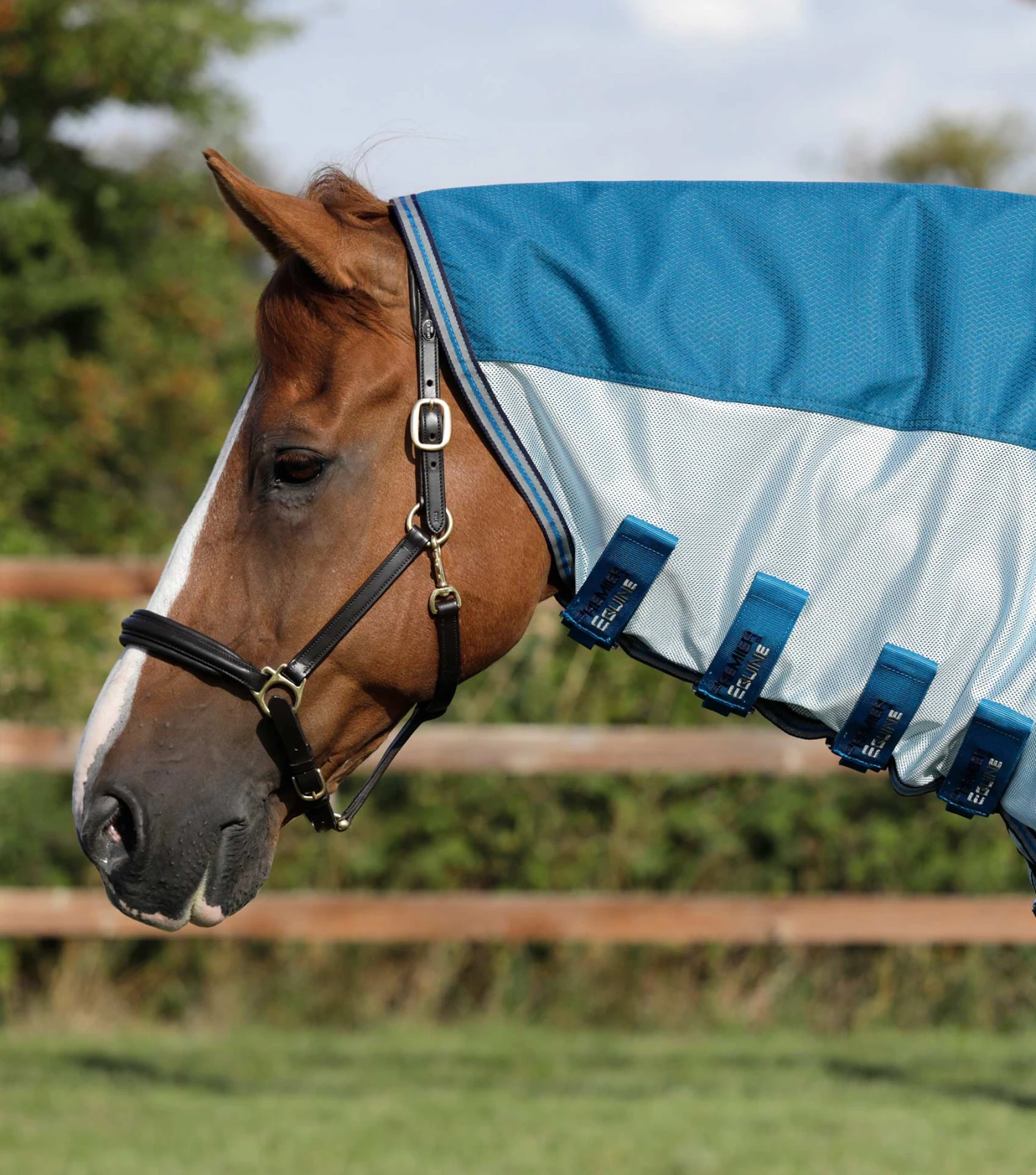 Stay-Dry Mesh Air Fly Rug with Surcingles Stay-Dry Mesh Air Fly Rug With Surcingles -Premier Equine Store stay dry mesh air fly rug with surcingles 208256bl 143975