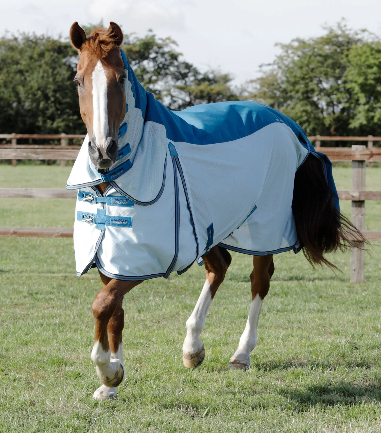 Stay-Dry Mesh Air Fly Rug with Surcingles Stay-Dry Mesh Air Fly Rug With Surcingles -Premier Equine Store stay dry mesh air fly rug with surcingles 208256bl 307991