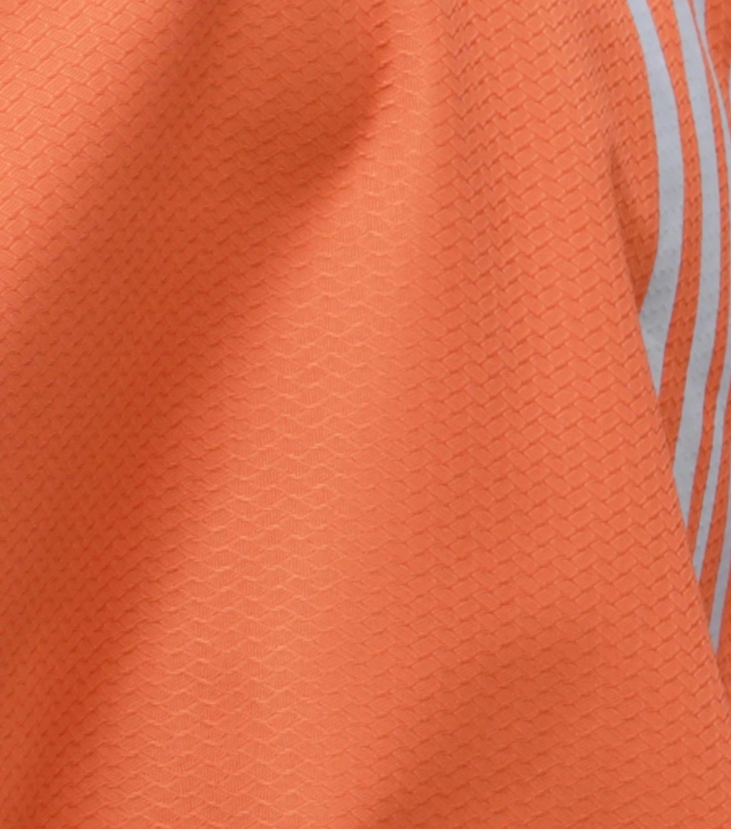 Stratus Horse Exercise Sheet Stratus Horse Exercise Sheet -Premier Equine Store stratus horse exercise sheet 2153mbo 303937