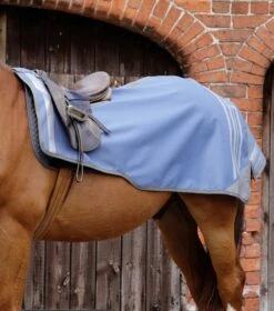 Stratus Horse Exercise Sheet 10 Stratus Horse Exercise Sheet -Premier Equine Store stratus horse exercise sheet 2153mpb 639955