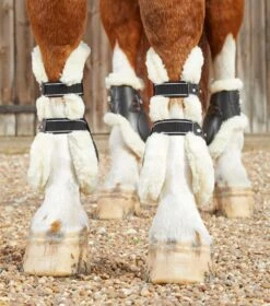 Techno Wool Tendon Boots 4 Techno Wool Tendon Boots -Premier Equine Store techno wool tendon boots 1039mblk 716718