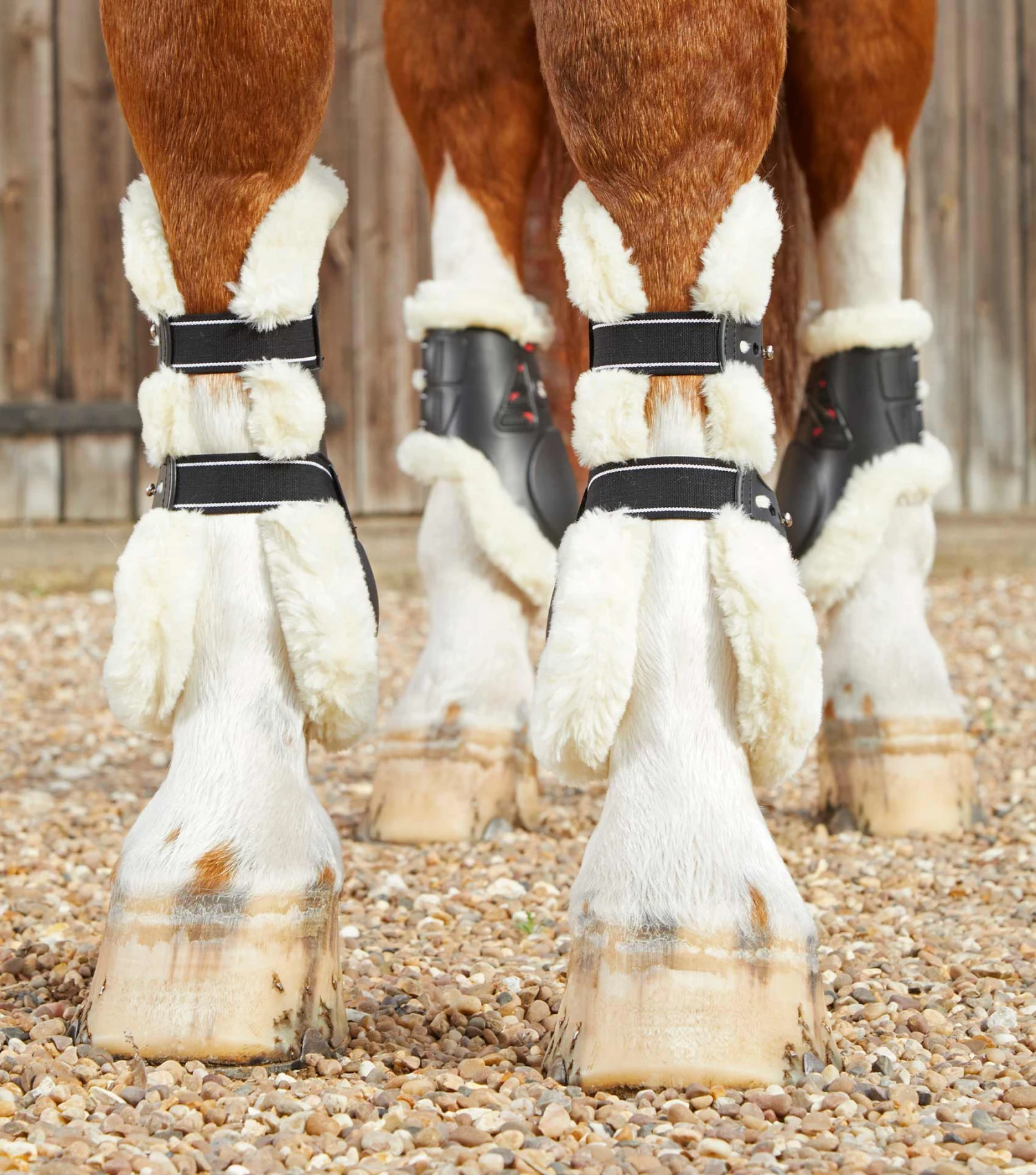 Techno Wool Tendon Boots Techno Wool Tendon Boots -Premier Equine Store techno wool tendon boots 1039mblk 716718