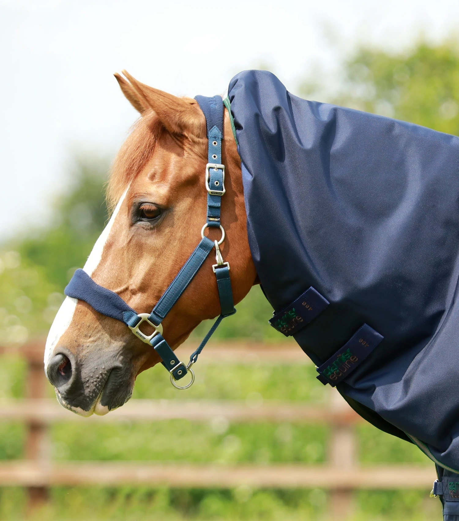 Titan 40g Turnout Rug Neck Cover (40g Fill) Titan 40g Turnout Rug Neck Cover (40g Fill) -Premier Equine Store titan 40g turnout rug neck cover 40g fill 2027sn 851837