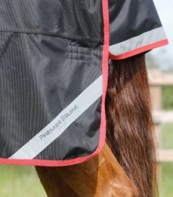 Titan 450g Original Turnout Rug 13 Titan 450g Original Turnout Rug -Premier Equine Store titan 450g original turnout rug 223256b 111560