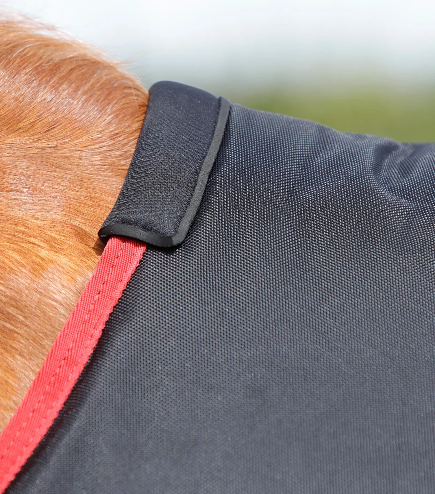 Titan 450g Original Turnout Rug Titan 450g Original Turnout Rug -Premier Equine Store titan 450g original turnout rug 223256b 795636