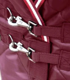 Tuscan Stable Rug 100g -Premier Equine Store tuscan stable rug 100g 207050brg 319847