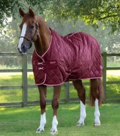 Tuscan Stable Rug 100g -Premier Equine Store tuscan stable rug 100g 207050brg 328956