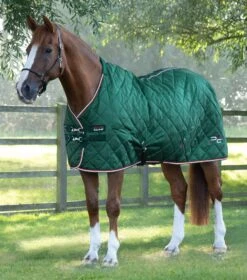 Tuscan Stable Rug 100g -Premier Equine Store tuscan stable rug 100g 207050grn 479757