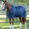 Tuscan Stable Rug 100g -Premier Equine Store tuscan stable rug 100g 207050n 418073