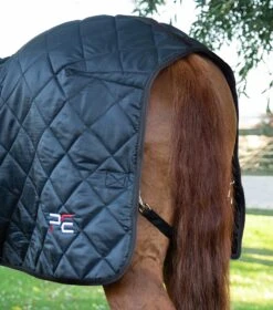 Tuscan Stable Rug 200g 13 Tuscan Stable Rug 200g -Premier Equine Store tuscan stable rug 200g 207250blk 631845