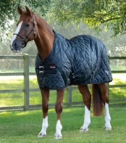 Tuscan Stable Rug 200g 8 Tuscan Stable Rug 200g -Premier Equine Store tuscan stable rug 200g 207250blk 837725
