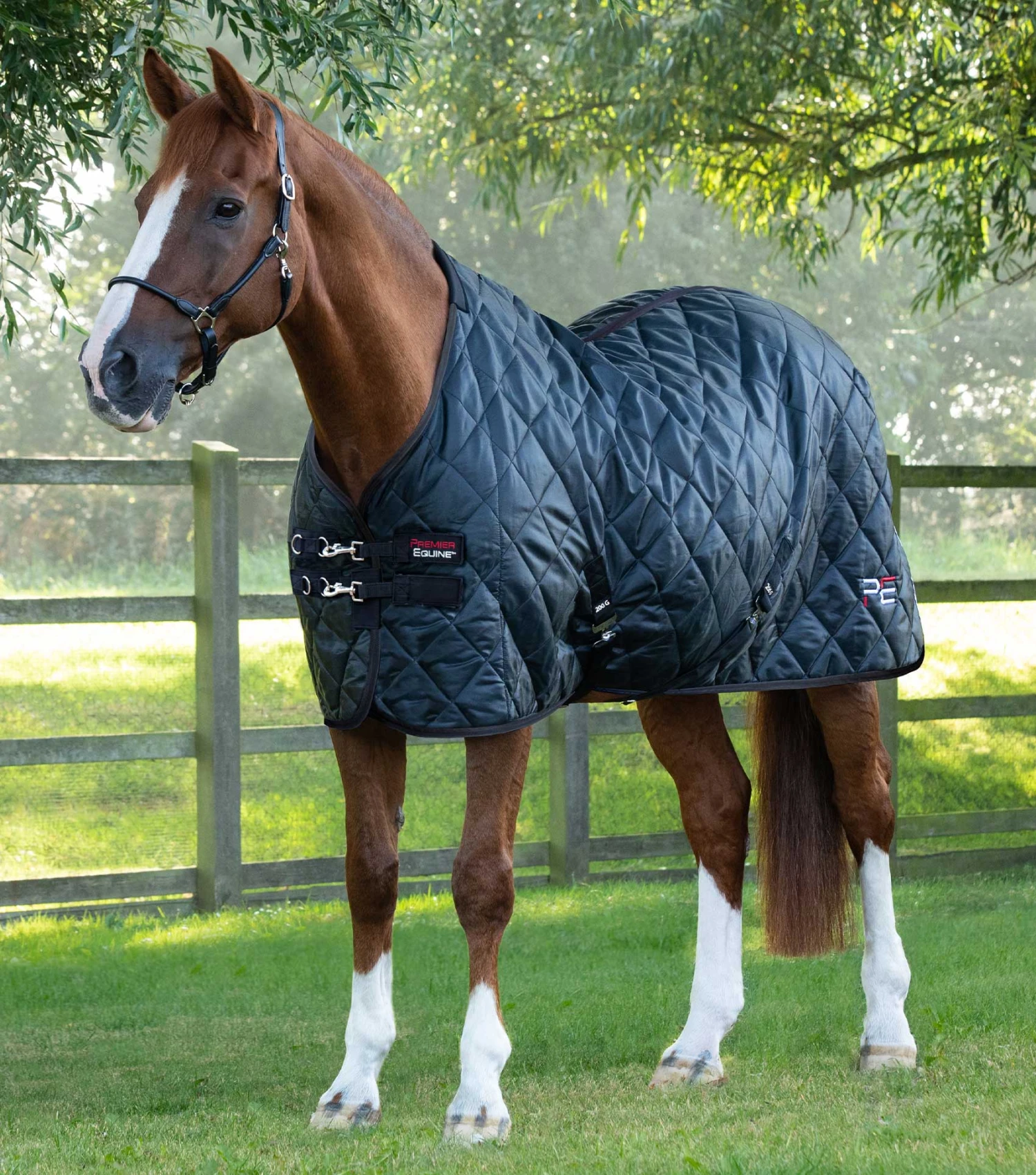 Tuscan Stable Rug 200g Tuscan Stable Rug 200g -Premier Equine Store tuscan stable rug 200g 207250blk 837725