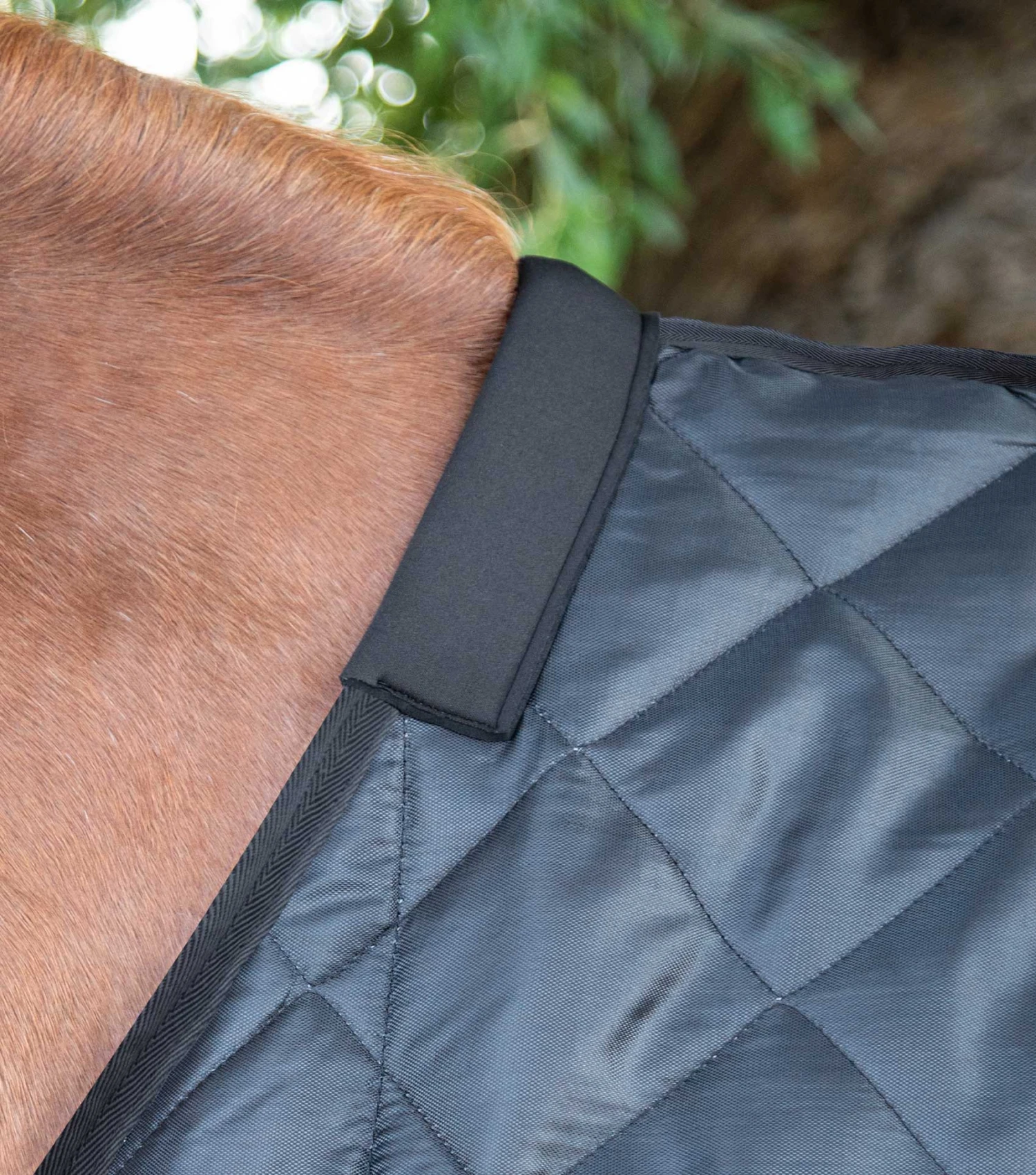 Tuscan Stable Rug 200g Tuscan Stable Rug 200g -Premier Equine Store tuscan stable rug 200g 207250blk 996266