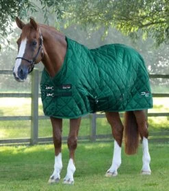 Tuscan Stable Rug 200g 14 Tuscan Stable Rug 200g -Premier Equine Store tuscan stable rug 200g 207250grn 975943