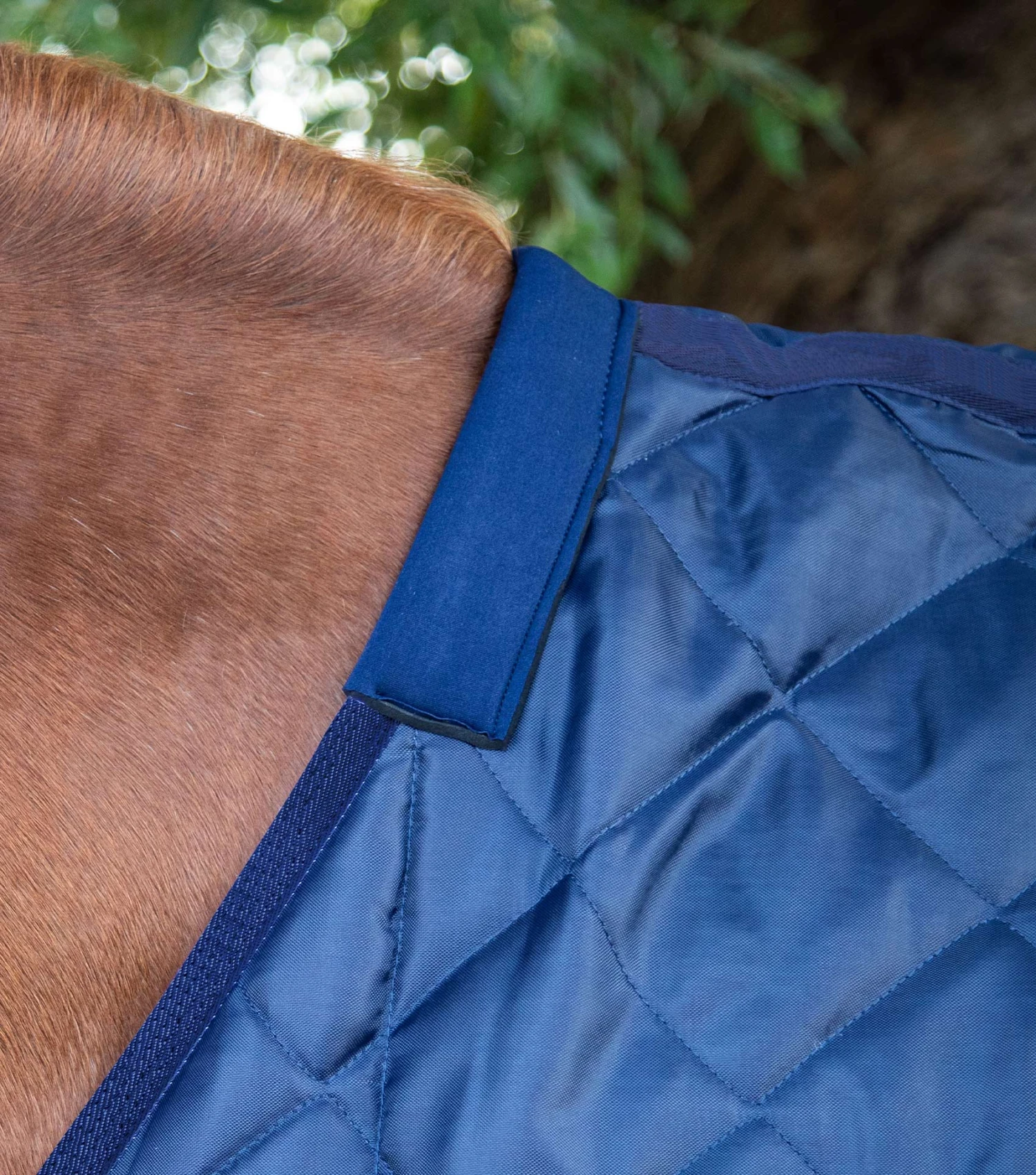 Tuscan Stable Rug 200g Tuscan Stable Rug 200g -Premier Equine Store tuscan stable rug 200g 207250n 136058