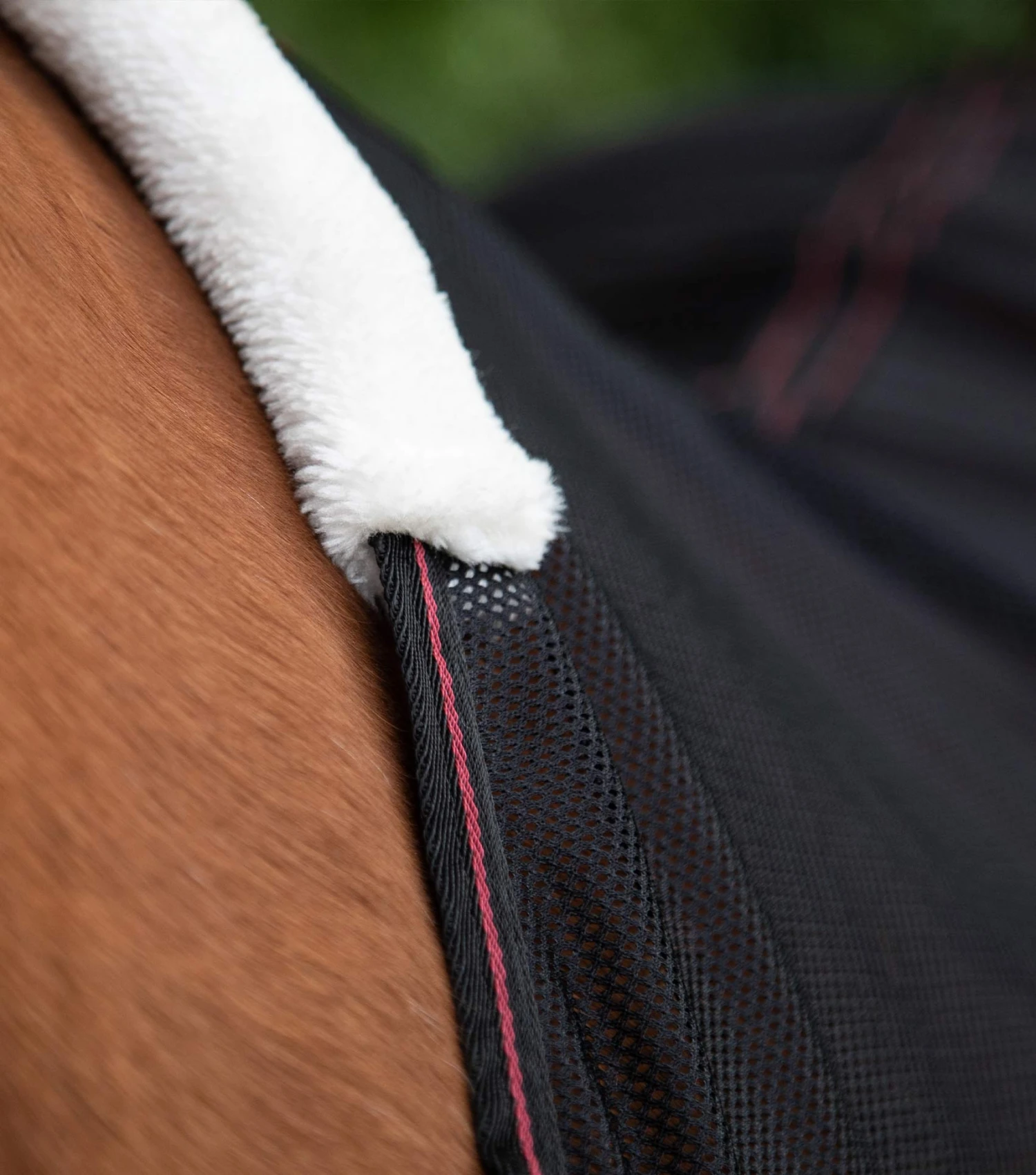 Ventoso Mesh Cooler Ventoso Mesh Cooler -Premier Equine Store ventoso mesh cooler 202150blk 162893